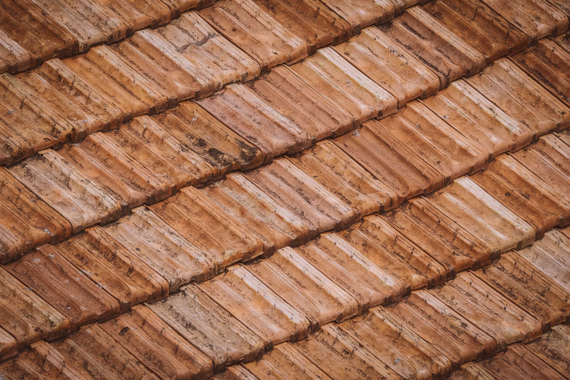 Tuiles de toiture